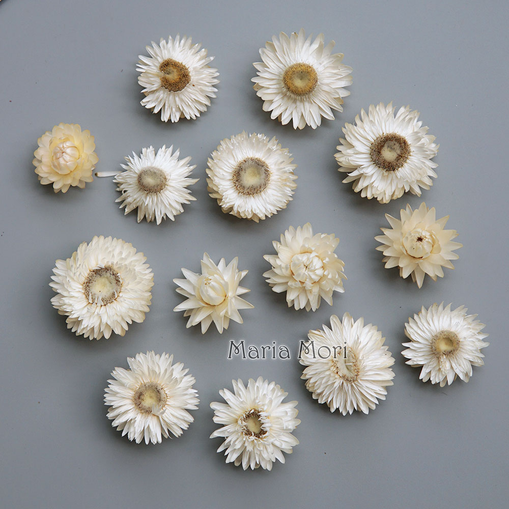 Baby Products 2 Years - Natural Dried Colorful Chrysanthemum Wreath Handmade