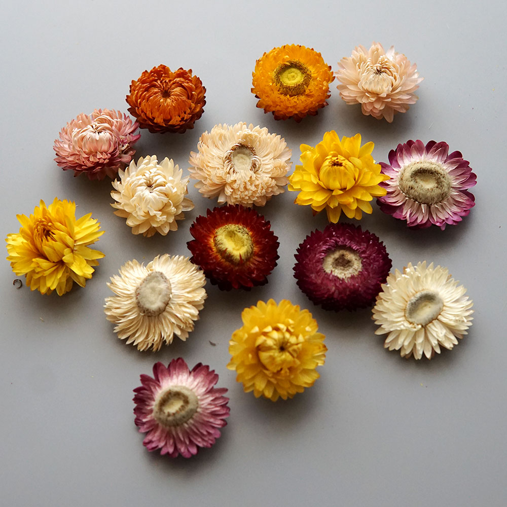 Natural Dried Colorful Chrysan - огляд і ціна Baby Products 2 Years