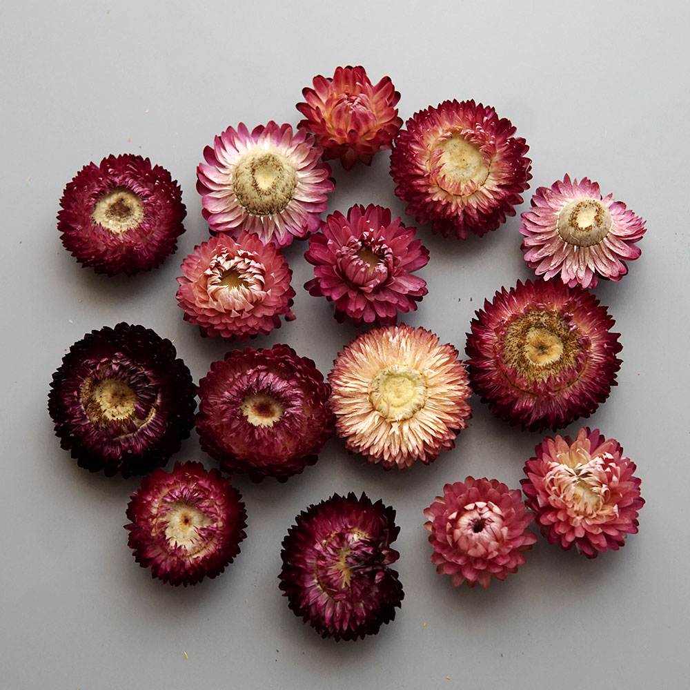 Natural Dried Colorful Chrysan - огляд і ціна Baby Products 2 Years