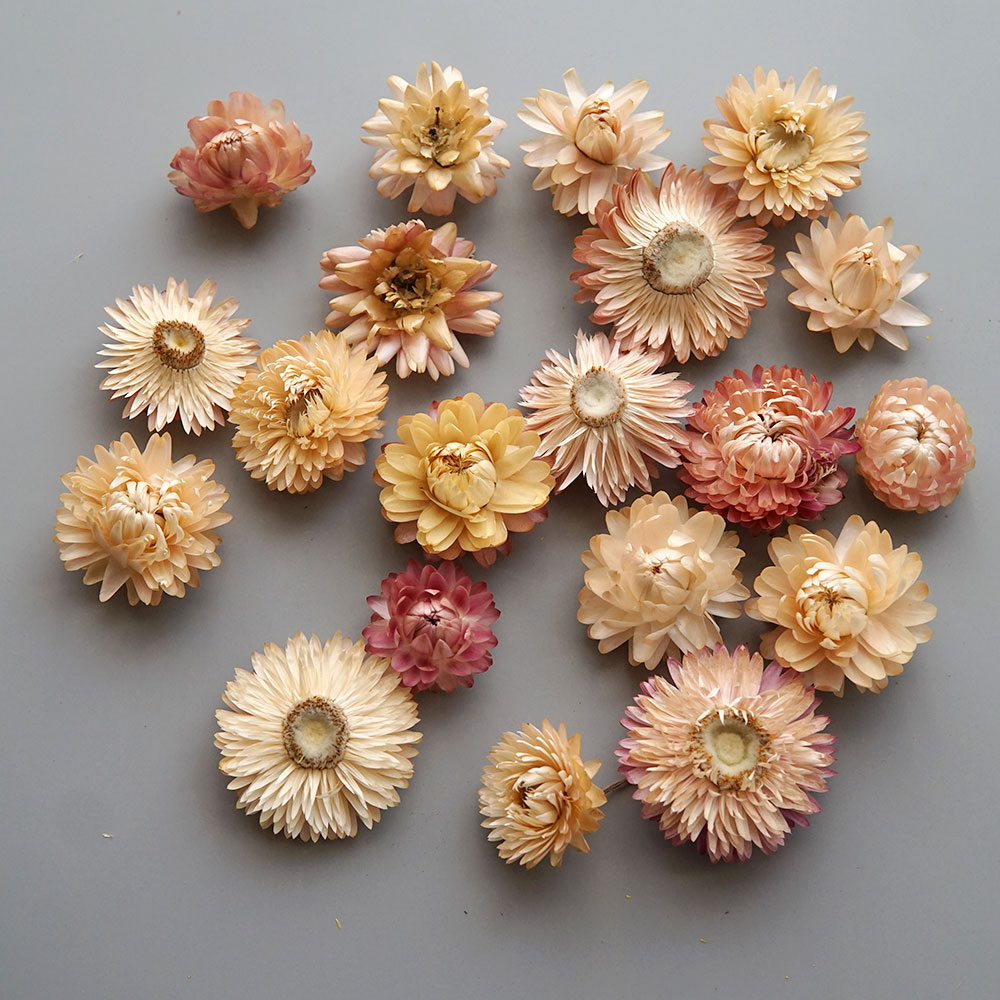 Natural Dried Colorful Chrysan - огляд і ціна Baby Products 2 Years